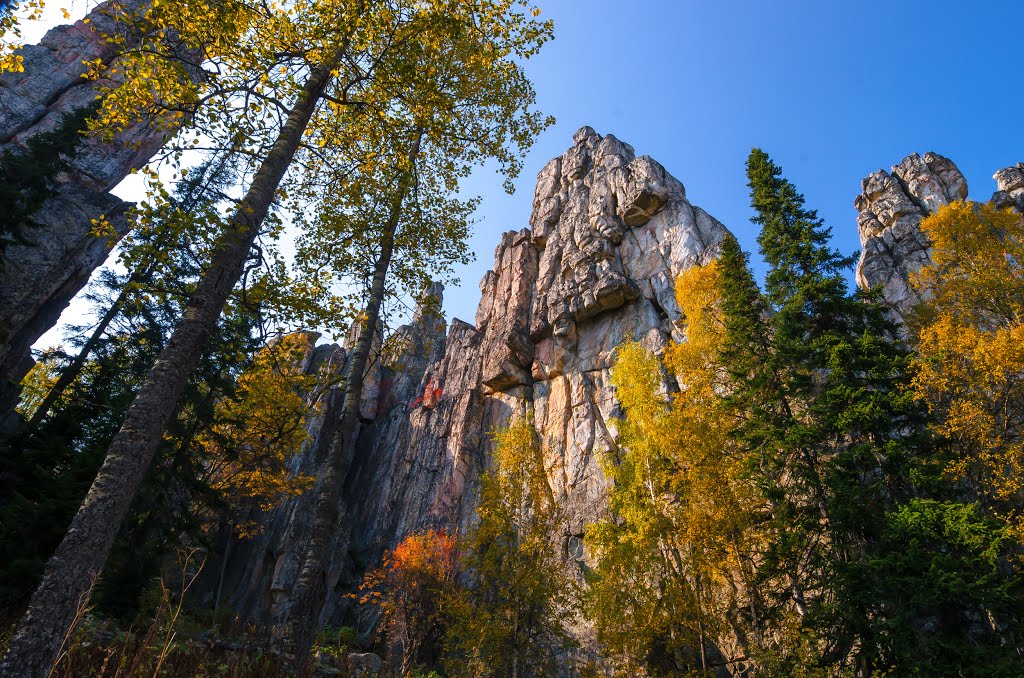 Inzerskiye Zubchatky (Tirlyanskiy) Инзерские зубчатки